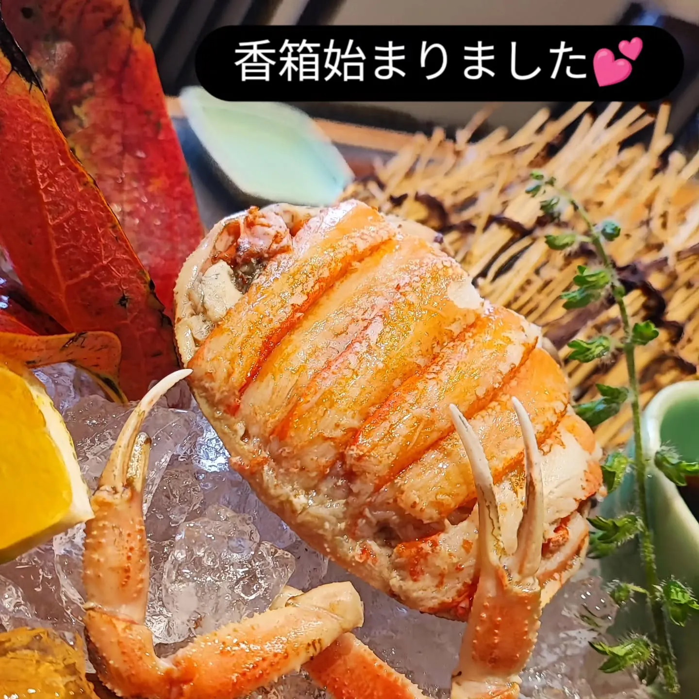 始まりましたー。