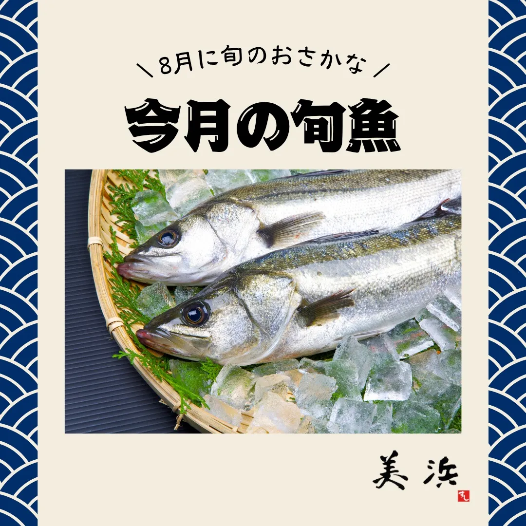 【8月が旬の魚をご紹介🐟】