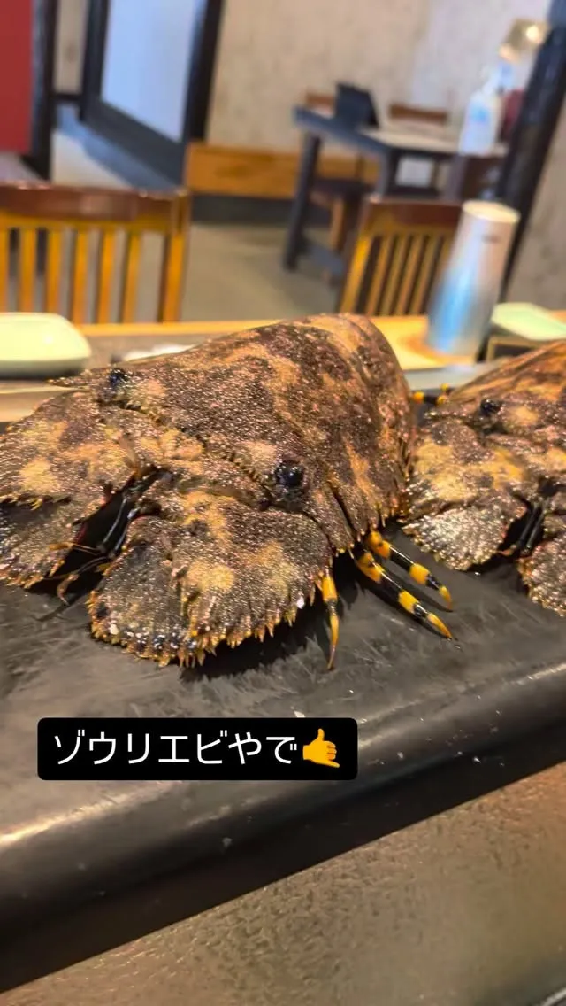 地元産のゾウリエビ。